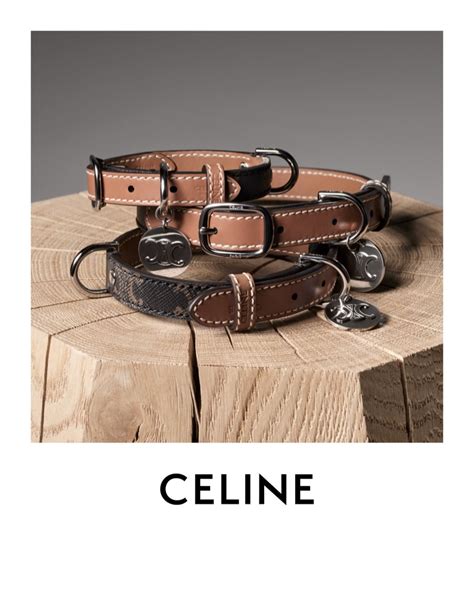 Celine’s Luxury Dog Accessories Are A Must